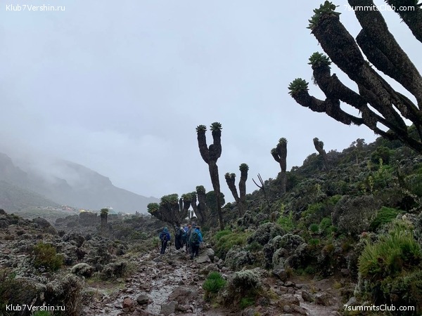 ������������ 2023-2024, ����� ���������, ���� 240