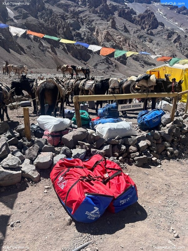 ��������� ����� ��� 2024-� ��������� �������, ���� 47