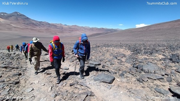 ���� ���� ������ 2024. ������. ������ ������, ���� 37