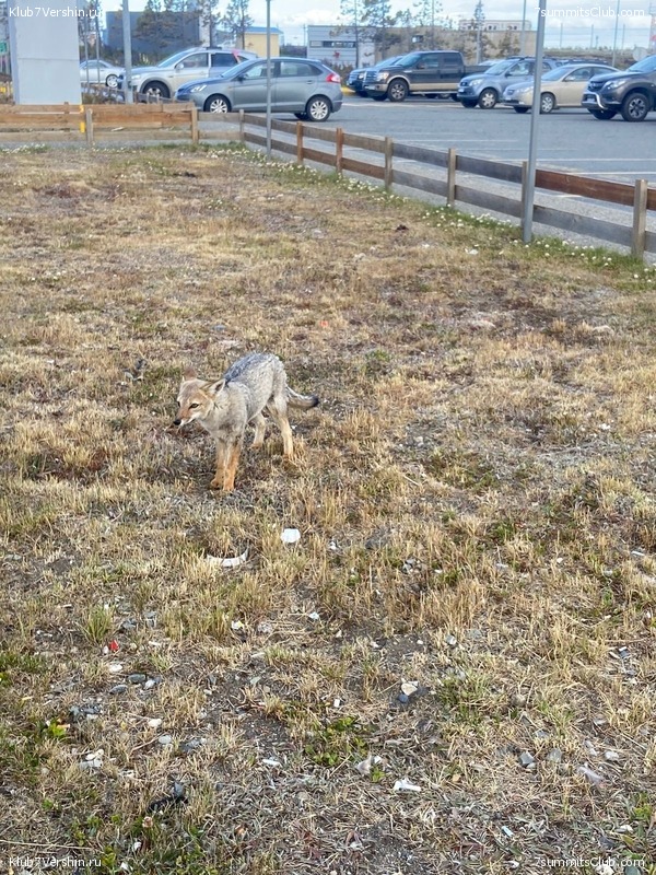 ���������� 2023 - 2024. ������ ������ �� ������, ���� 54