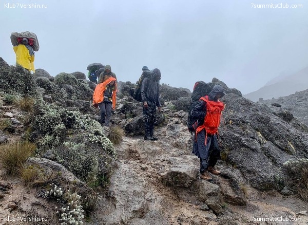 ������������ 2023-2024, ����� ���������, ���� 177