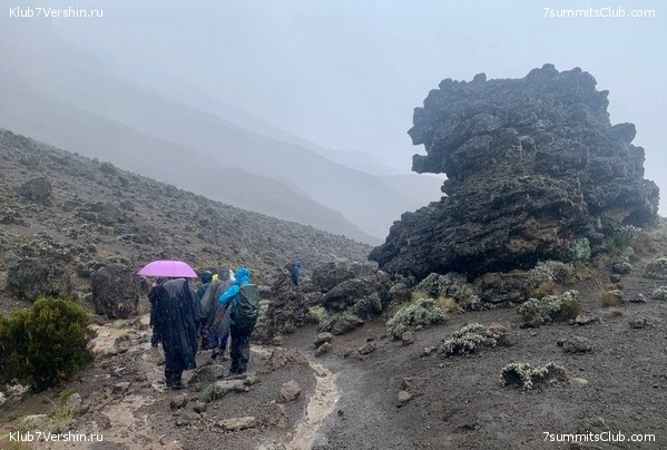 ������������ 2023-2024, ����� ���������, ���� 53