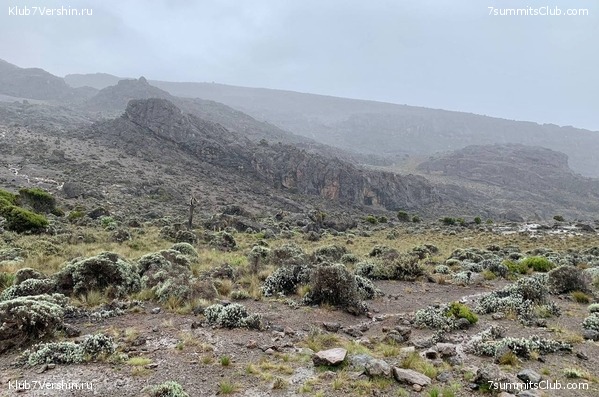 ������������ 2023-2024, ����� ���������, ���� 45