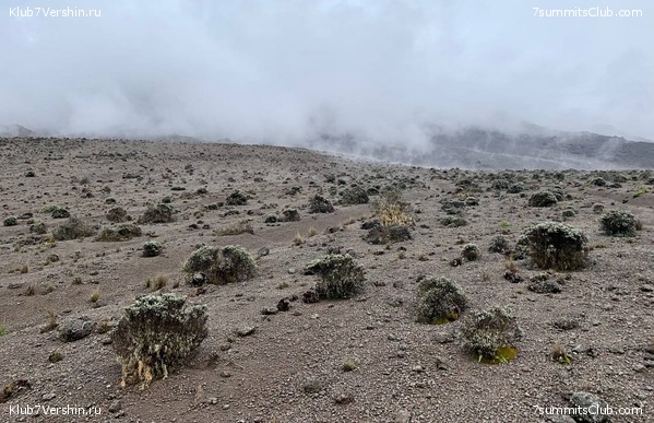 ������������ 2023-2024, ����� ���������, ���� 33