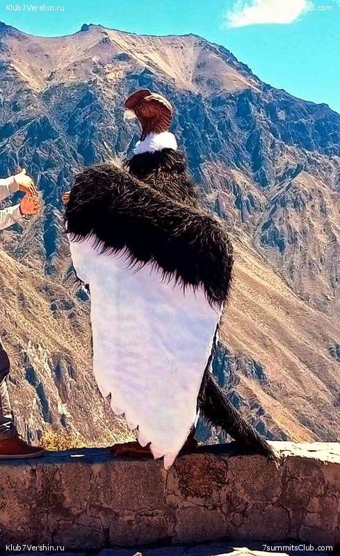 ����. �������� ����. 2023 - 2024. ������ �������, ���� 90