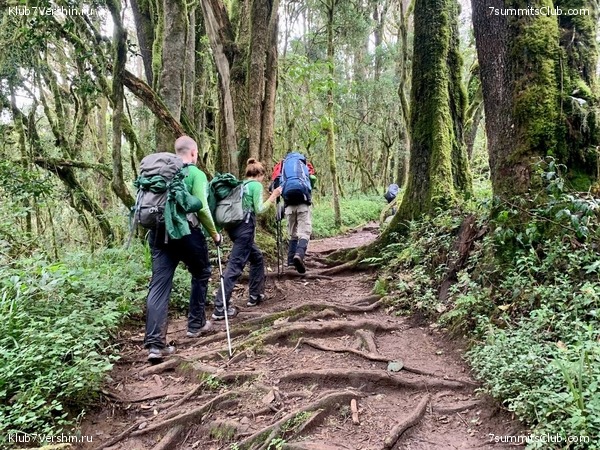 ������������ 2023-2024, ����� ���������, ���� 253