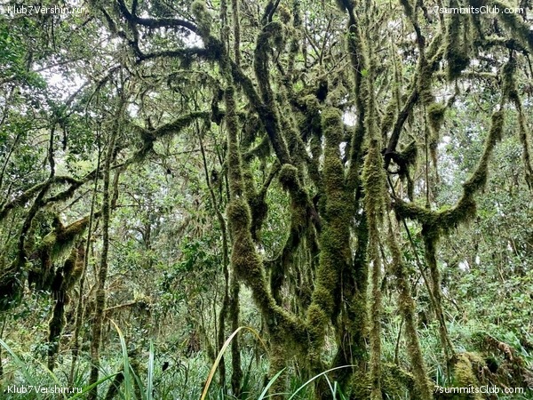 ������������ 2023-2024, ����� ���������, ���� 255