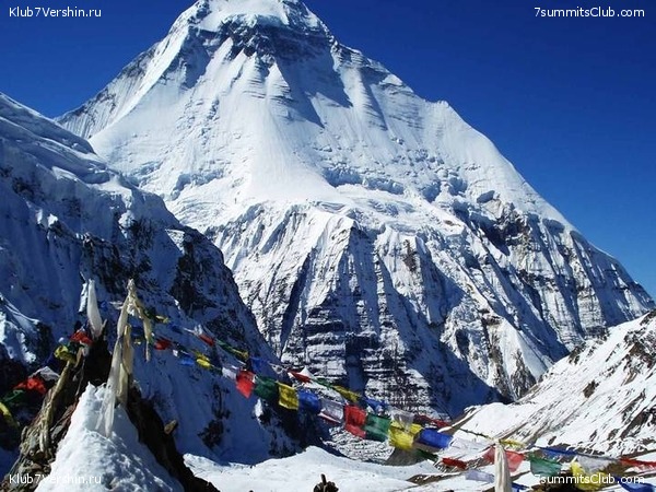 ����������. ������� �����������, ���� 45