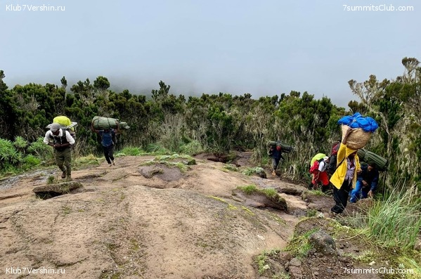 ������������ 2023-2024, ����� ���������, ���� 46