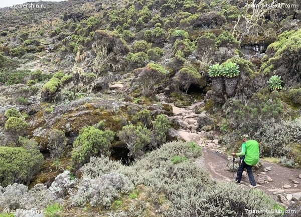 ������������ 2023-2024, ����� ���������, ���� 167