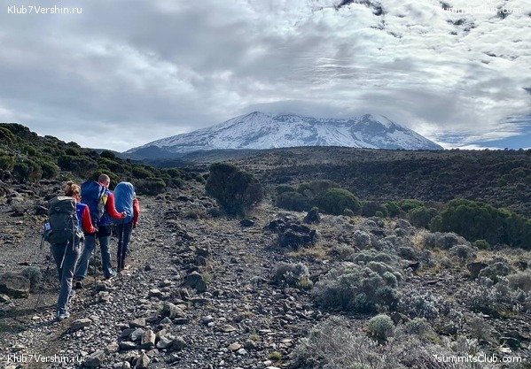 ������������ 2023-2024, ����� ���������, ���� 113