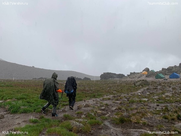 ������������ 2023-2024, ����� ���������, ���� 264