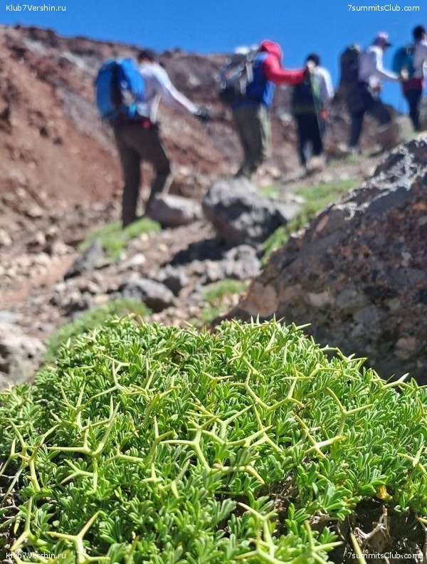 ��������� 2023 - 2024. ������� ������� - ��������� ���������, ���� 96