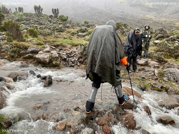 ������������ 2023-2024, ����� ���������, ���� 274