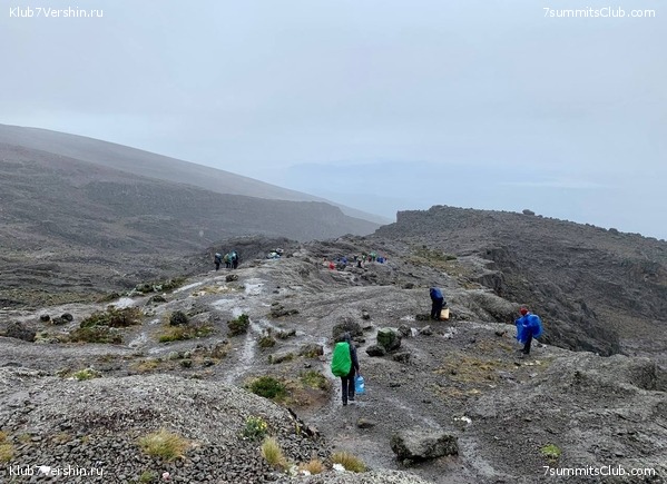 ������������ 2023-2024, ����� ���������, ���� 175