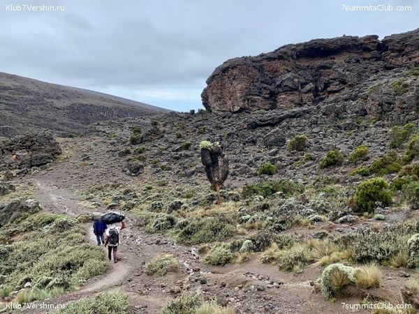 ������������ 2023-2024, ����� ���������, ���� 278