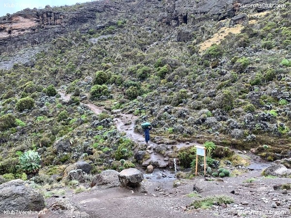 ������������ 2023-2024, ����� ���������, ���� 279