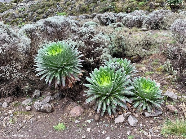 ������������ 2023-2024, ����� ���������, ���� 280