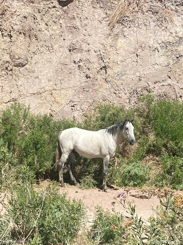 ���� ���� ������. ������ 2024. ������ ������, ���� 73