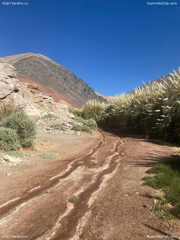 ���� ���� ������. ������ 2024. ������ ������, ���� 74