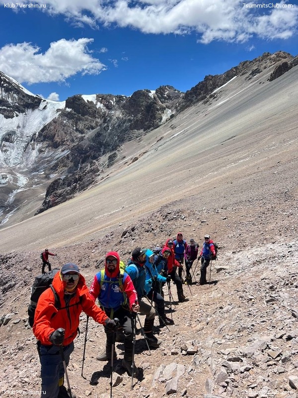 ��������� 2023 - 2024. ������� ������� - ��������� ���������, ���� 133