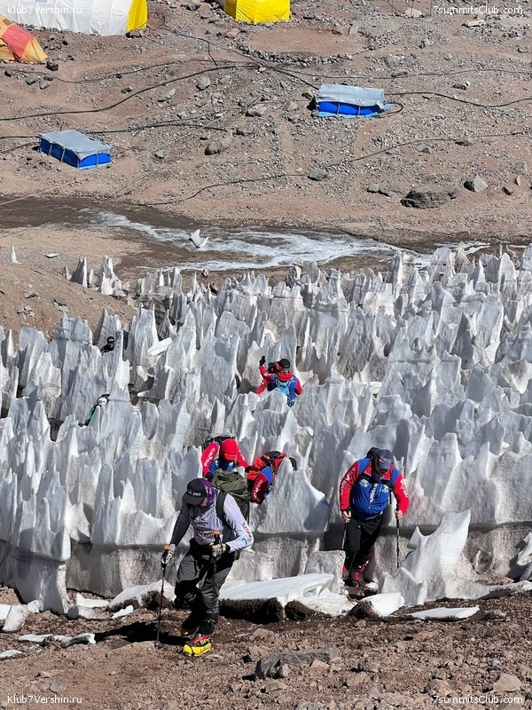 ��������� 2023 - 2024. ������� ������� - ��������� ���������, ���� 135