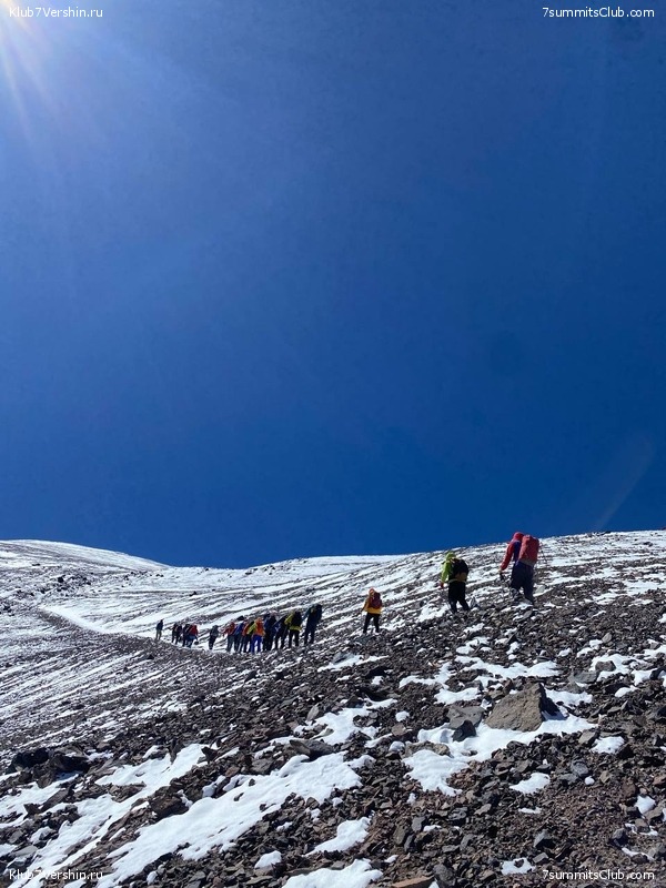 ���� ���� ������ 2024. ������. ������ ������, ���� 115