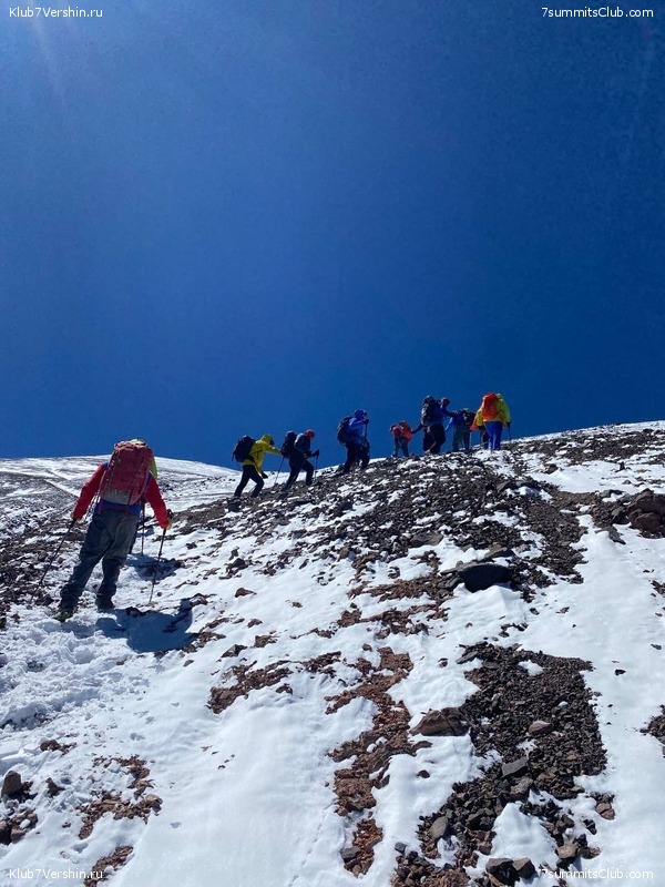 ���� ���� ������ 2024. ������. ������ ������, ���� 116