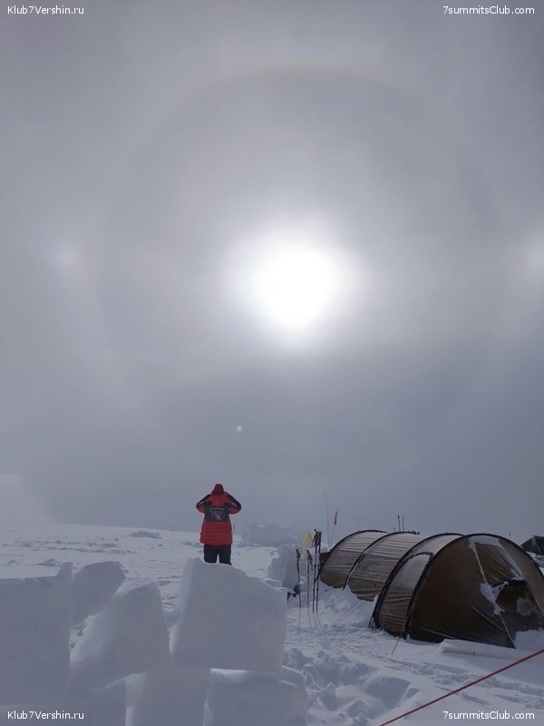  2023 - 2024.    ,  81