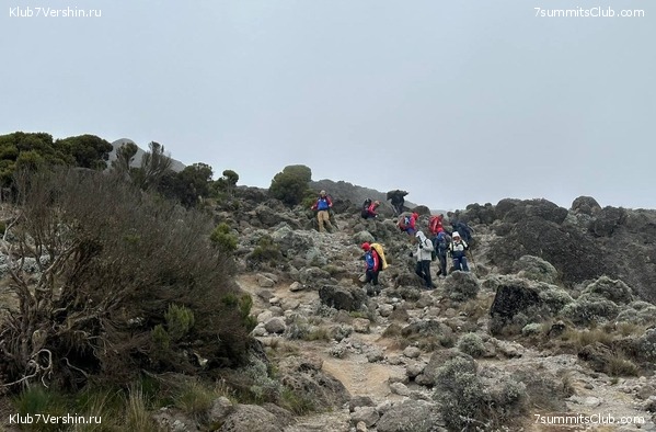 ������������ 2024. �������. �������� ��������� � ������� �������, ���� 23