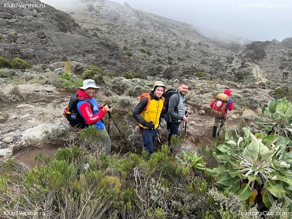 ������������ 2024. �������. �������� ��������� � ������� �������, ���� 36