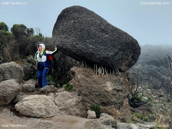 ������������ 2024. �������. �������� ��������� � ������� �������, ���� 37