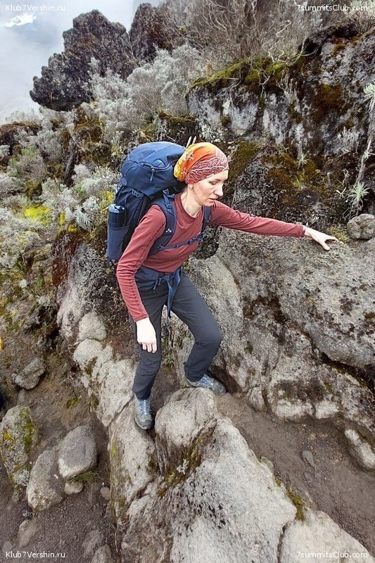 ������������ 2024. �������. �������� ��������� � ������� �������, ���� 107