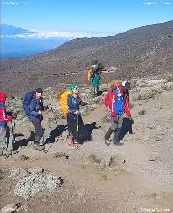 ������������ 2024. �������. �������� ��������� � ������� �������, ���� 73