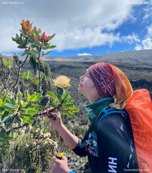 ������������ 2024. �������. �������� ��������� � ������� �������, ���� 66