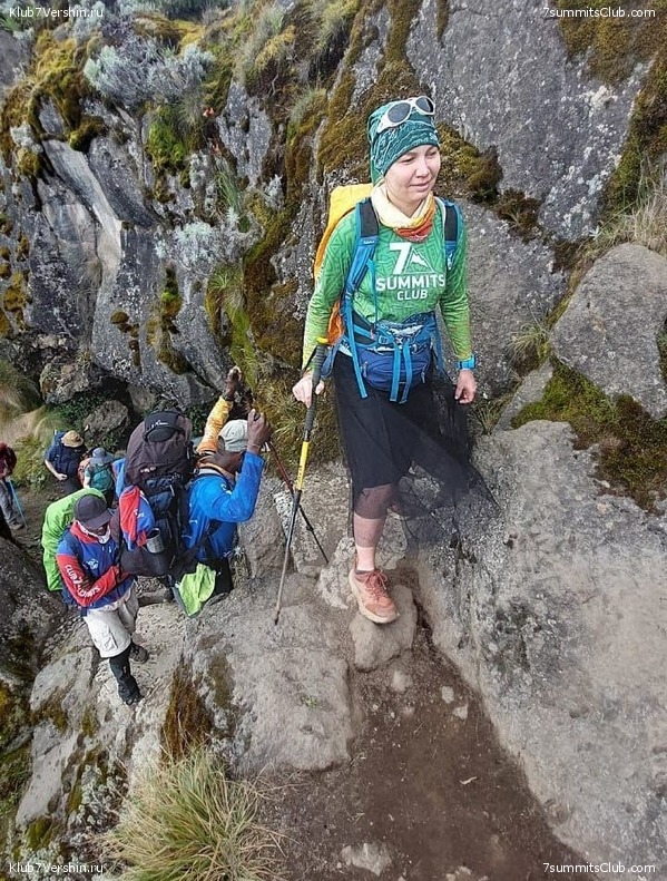 ������������ 2024. �������. �������� ��������� � ������� �������, ���� 81