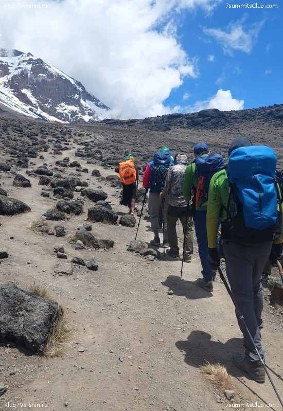 ������������ 2024. �������. �������� ��������� � ������� �������, ���� 105