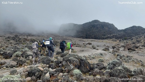 ������������ 2024. �������. �������� ��������� � ������� �������, ���� 7