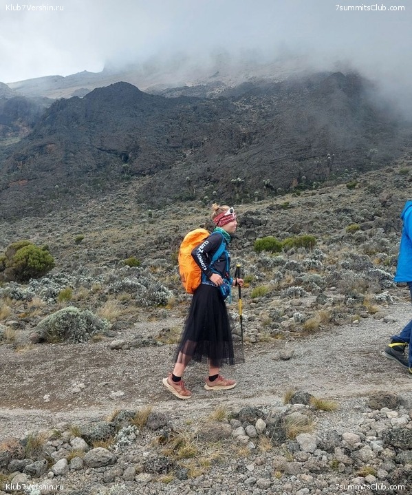 ������������ 2024. �������. �������� ��������� � ������� �������, ���� 72