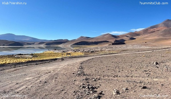 ����. ������ �����������, ���� 4