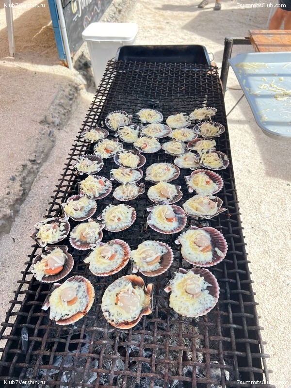 ����. ������ �����������, ���� 47