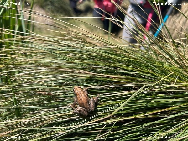 �����, ������� 2024 ����, ���� 10