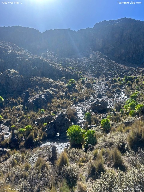 �����, ������� 2024 ����, ���� 56