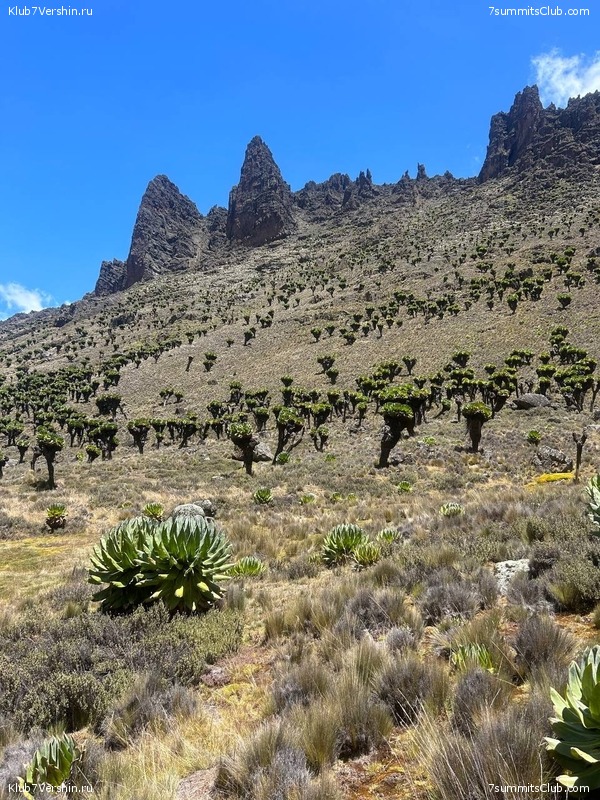 �����, ������� 2024 ����, ���� 57