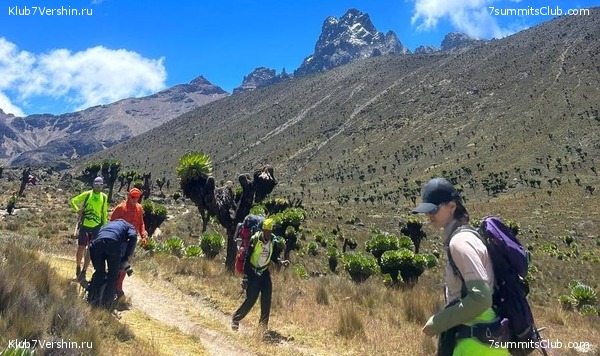 �����, ������� 2024 ����, ���� 7