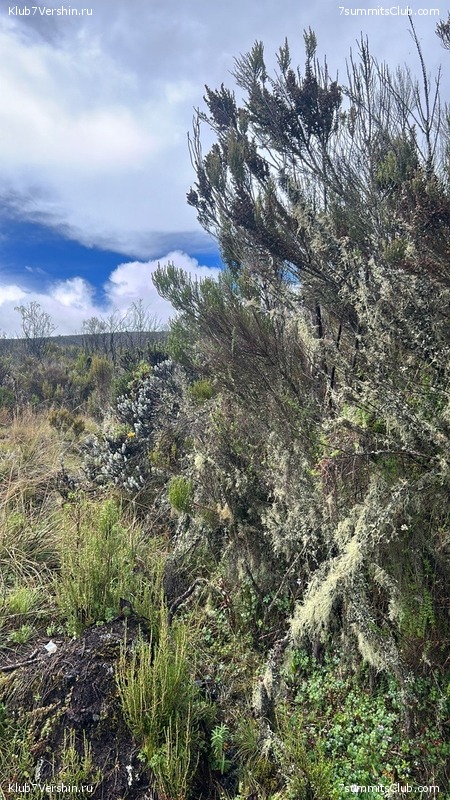 ������������ 2024. ���������. ��������� �������, ���� 60