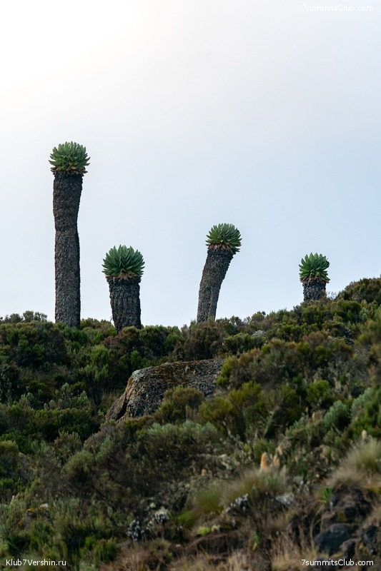 ������������ 2024. ���������. ��������� �������, ���� 58