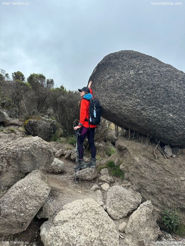 ������������ 2024. ����������� ������, ������� ���������, ���� 31