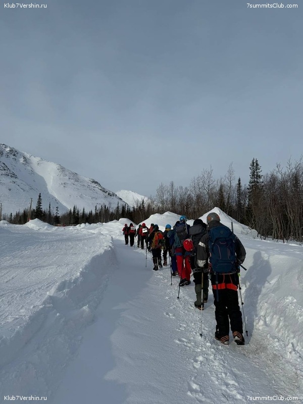 ������ �����. ������, ���� 2024 ����, ���� 85