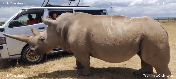 �����, ������� 2024 ����, ���� 1